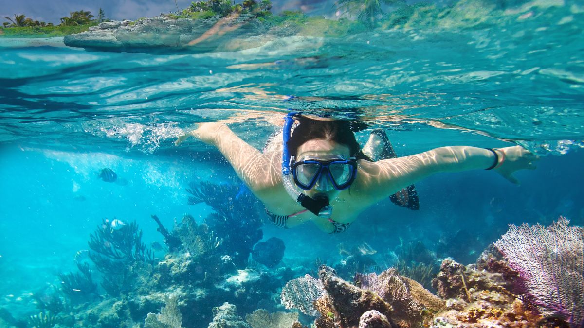 10 Tempat Snorkeling Terbaik Di Dunia, Yang Ada Di Indonesia