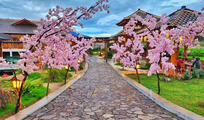 Amazing Trip Japan & South Korea: Liburan Impian 2 Negara Sekaligus!