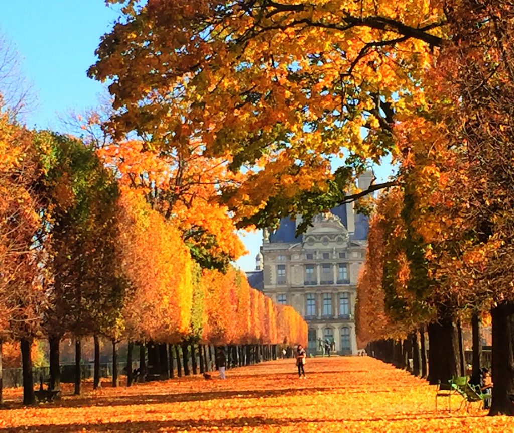 Hangatnya Musim Gugur dalam Tur Seru ke Eropa Barat