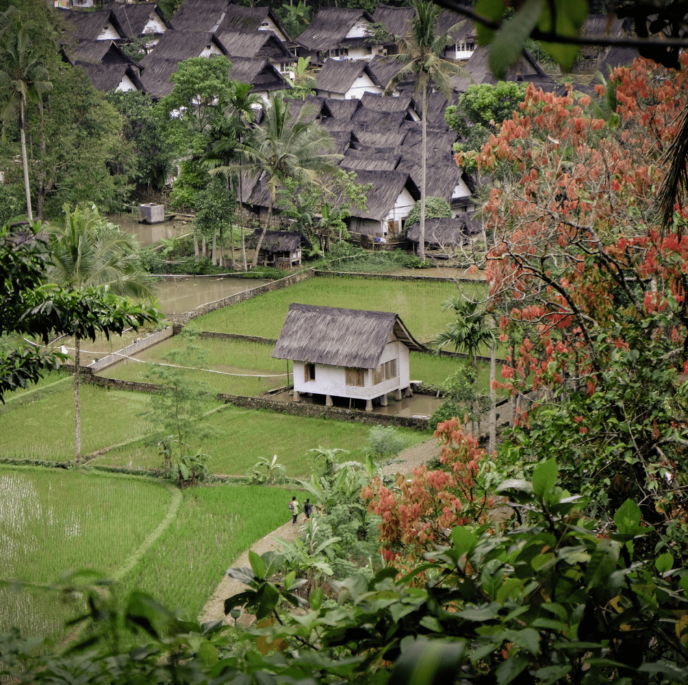 Tasikmalaya