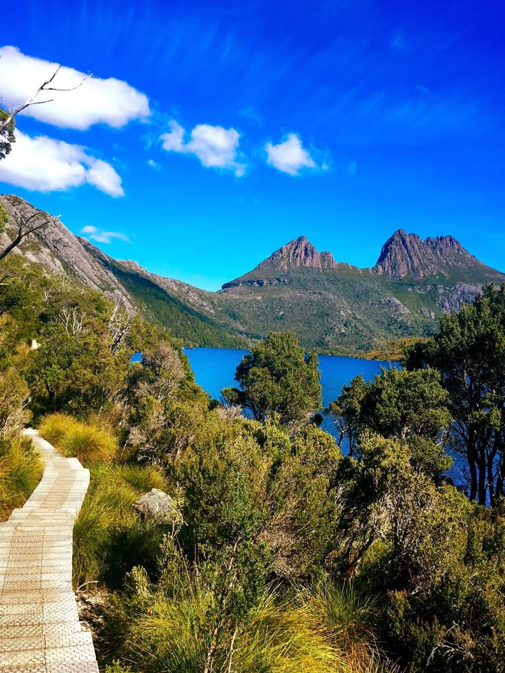 AMAZIN TRIP AUSTRALIA (TASMANIA - BRUY ISLAND - MT. WELINGTON)