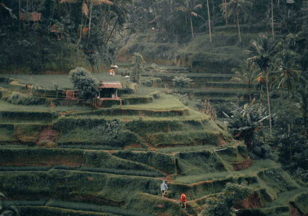 UBUD