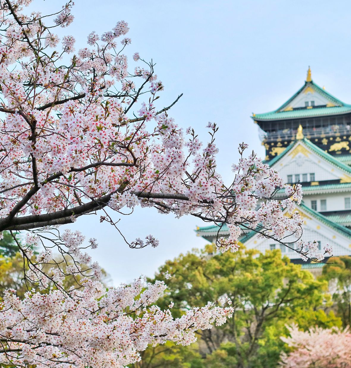 REKOMENDASI NEGARA DENGAAN MUSIM GUGUR TERINDAH