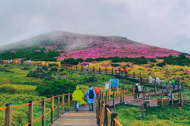 MENELUSURI PESONA KEINDAHAN ALAM JEJU