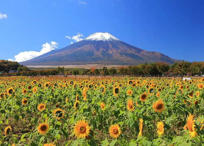 DESTINASI WISATA PALING MENARIK DI MUSIM PANAS