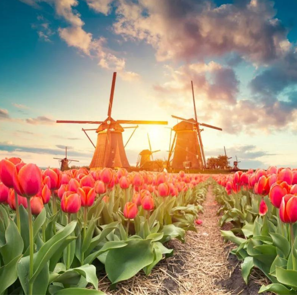PAKET WISATA AMAZING WEST EUROPE