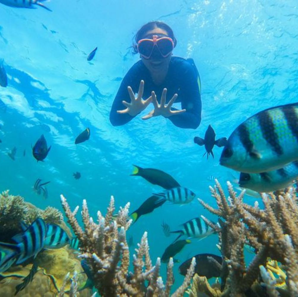 PAKET WISATA TOUR KARIMUNJAWA 4 HARI 3 MALAM