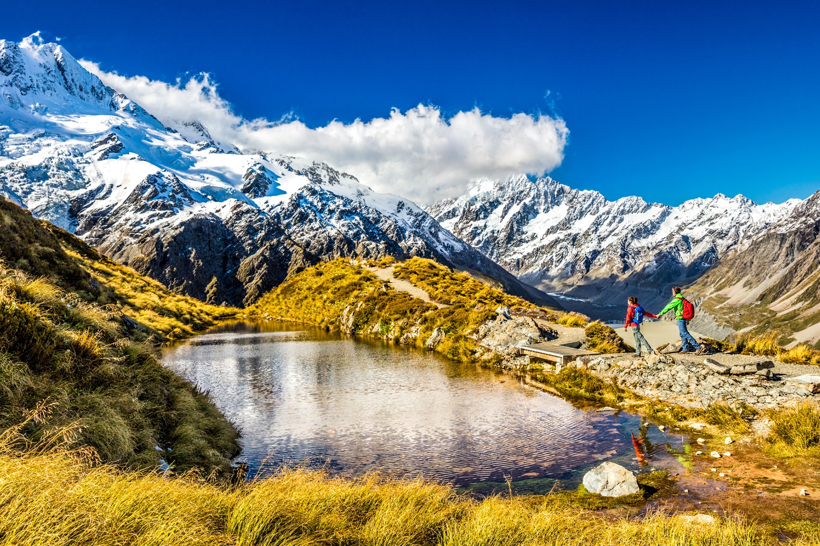 PAKET WISATA TOUR NEW ZEALAND