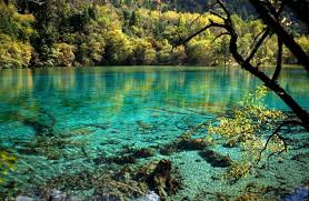 PAKET WISATA JAMBI