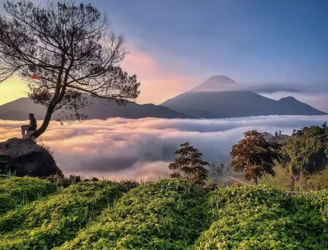 PAKET WISATA DIENG
