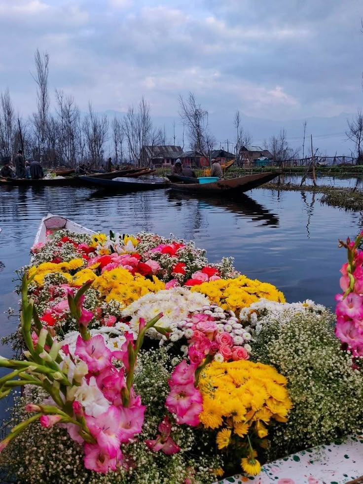 PAKET WISATA KASHMIR 6D5N